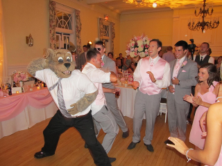 Illustration for article titled NBA Mascot Attends Wedding, Is Life Of The Party